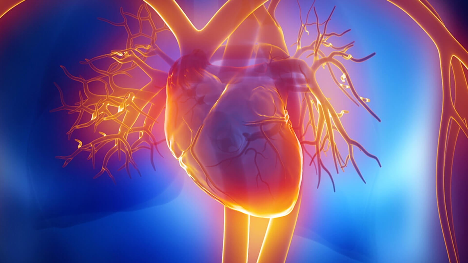 HRV (heart rate variability) - everything you need to know!